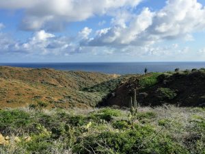 Things To Do Aruba - Arikok National Park