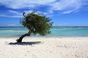 Things To Do Aruba - Baby Beach