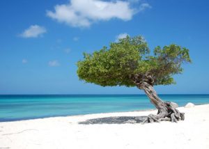 Things To Do Aruba - Eagle Beach