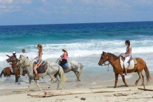 Things To Do Aruba - Horseback Riding