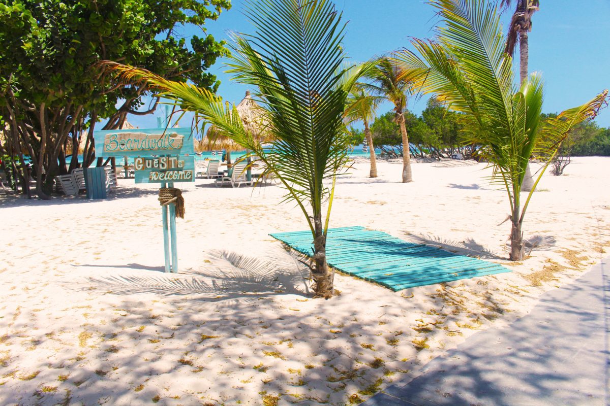 Boardwalk Hotel Aruba: A Little Gem in Paradise