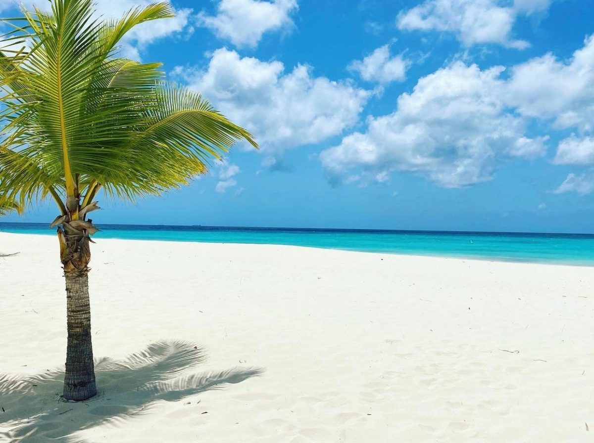 9 Reasons Why Aruba is the Happiest Island of Them All