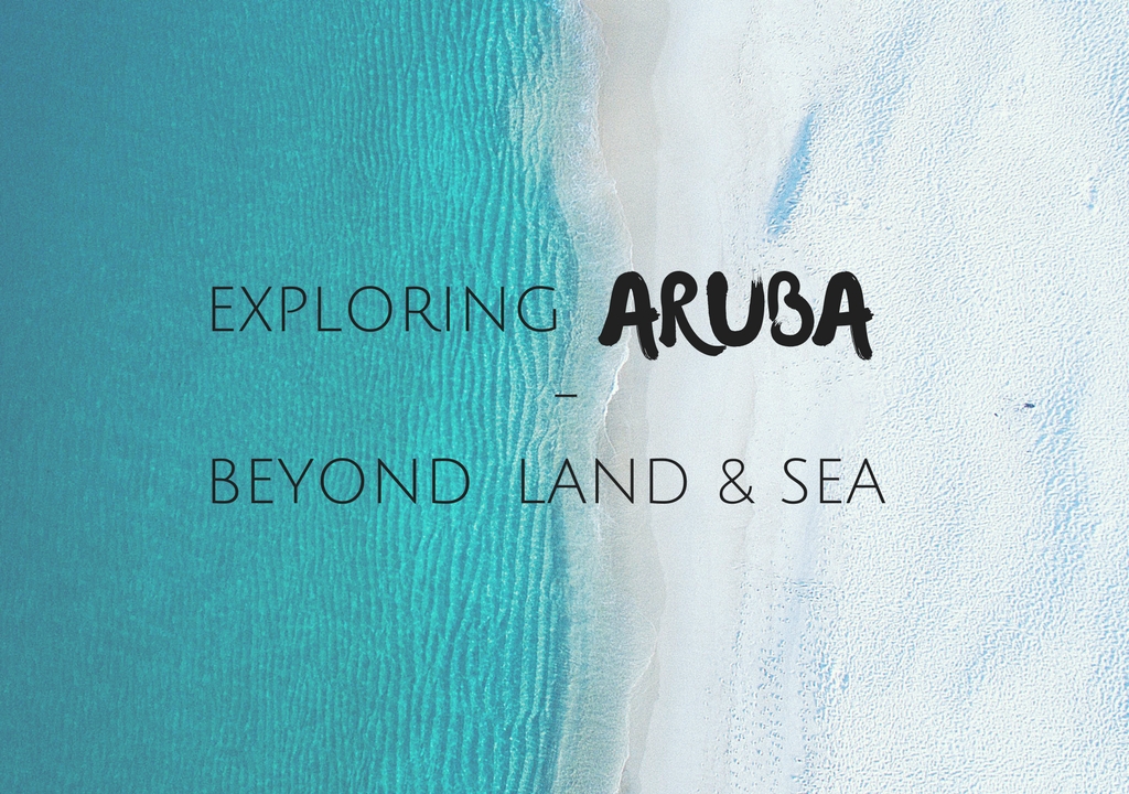 The Diverse Desert Island That is Aruba