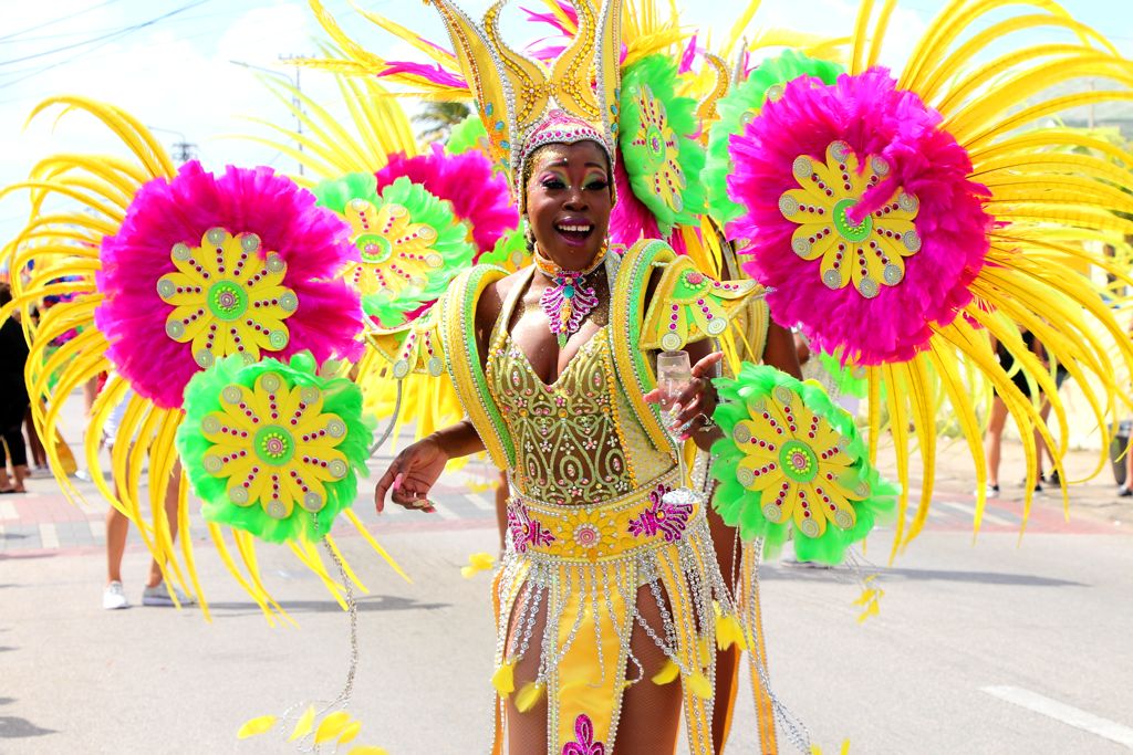 best carnival excursions in aruba