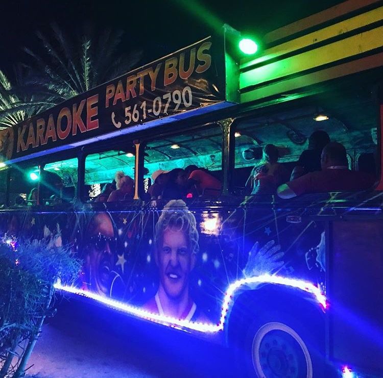 karaoke-party-bus-aruba-LED-lights-palm-trees-bar-hopping-visitaruba