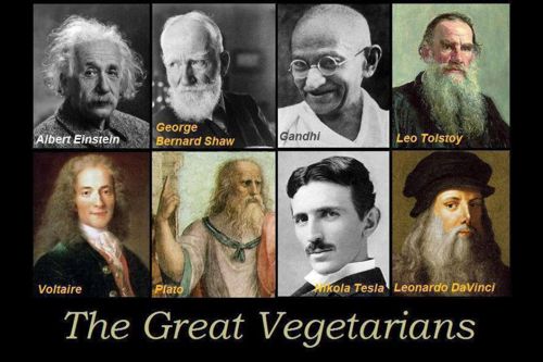 historical-figures-who-were-vegetarians-visitaruba-blog-by-megan-rojer-500