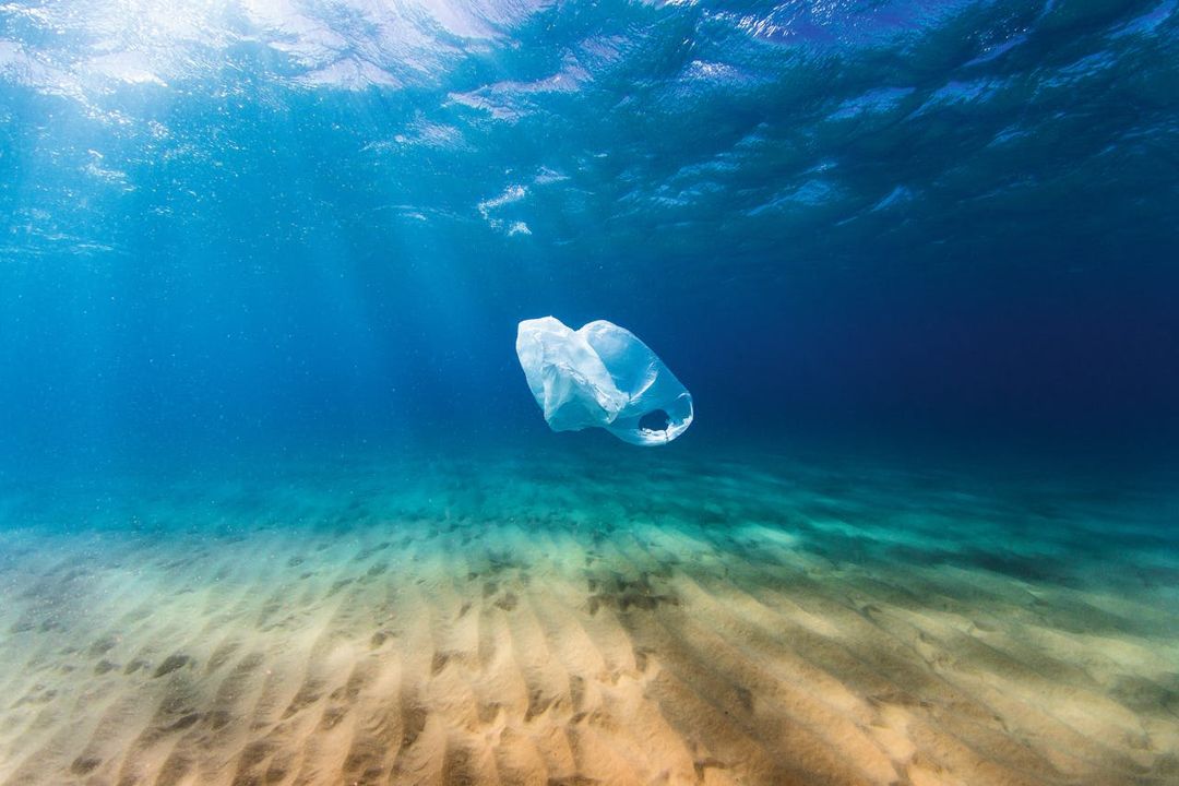 plastic-bag-found-in-ocean-photo-by-gettyimages-environmental-awareness-from-aruba-blog-visitaruba-1080