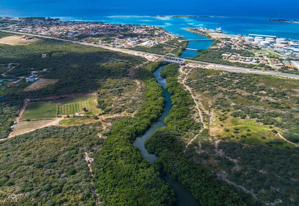 Mangroves-Spaans-Lagoen-Mangel-Halto-Aruba-Parke- Arikok-photo-visitaruba