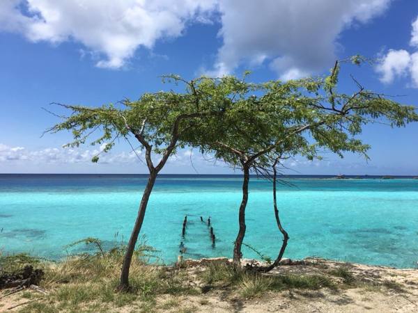 spaans-lagoen-overlooking-mikes-reef-photo-by-tranquilo-captain-anthony-hagedoorn-aruba-visitaruba