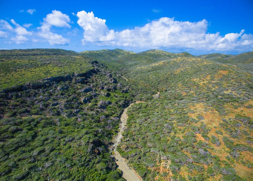 arikok-national-park-aruba-conservation-wild-life-photo-by-parke-visitaruba