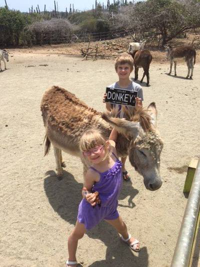 donkey-sanctuary-aruba-donkeys-and-kids-photo-by-donkeysanctuaryaruba-visitaruba