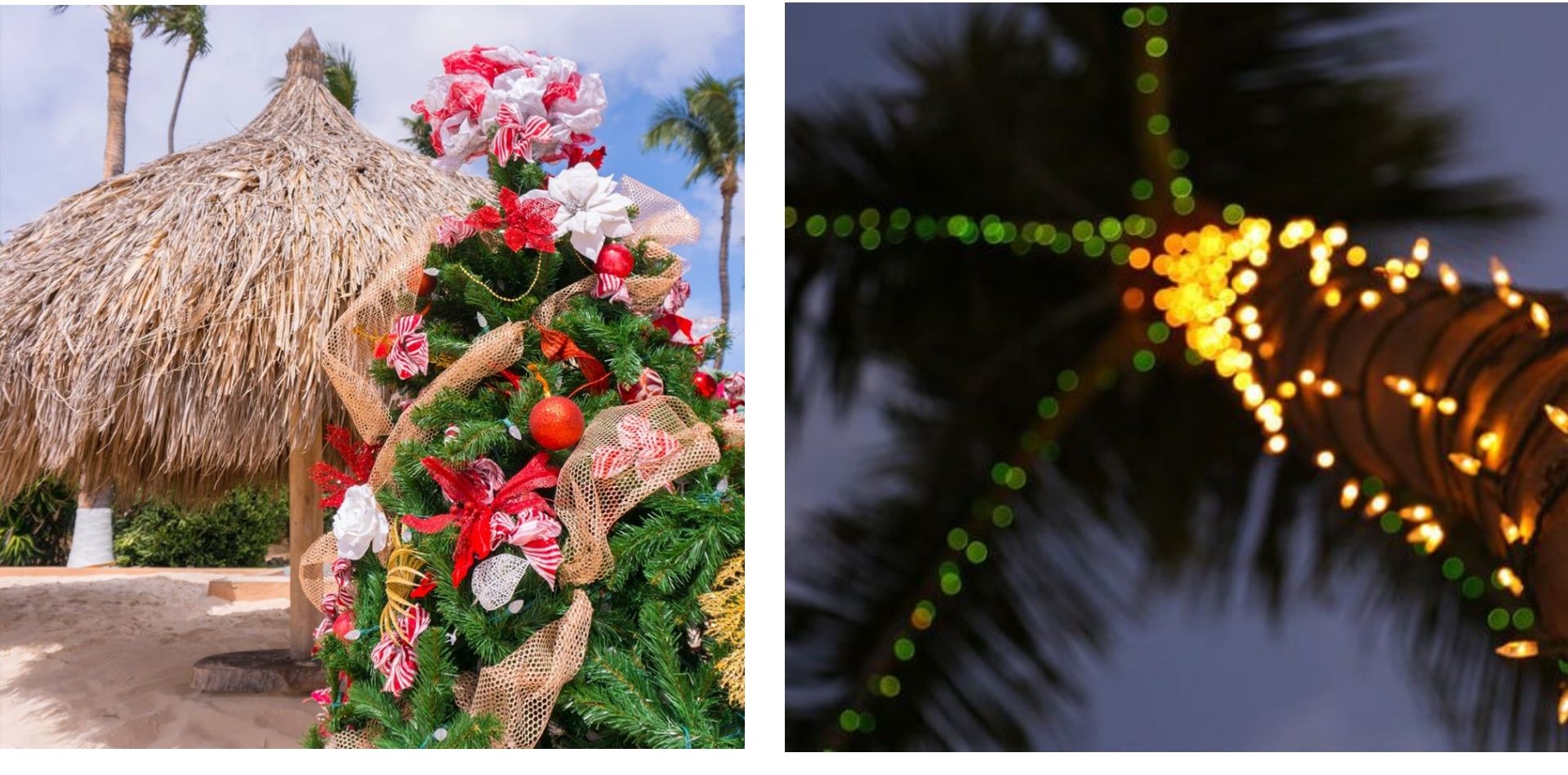 Step into a Winter Wonderland with Renaissance Marketplace Aruba