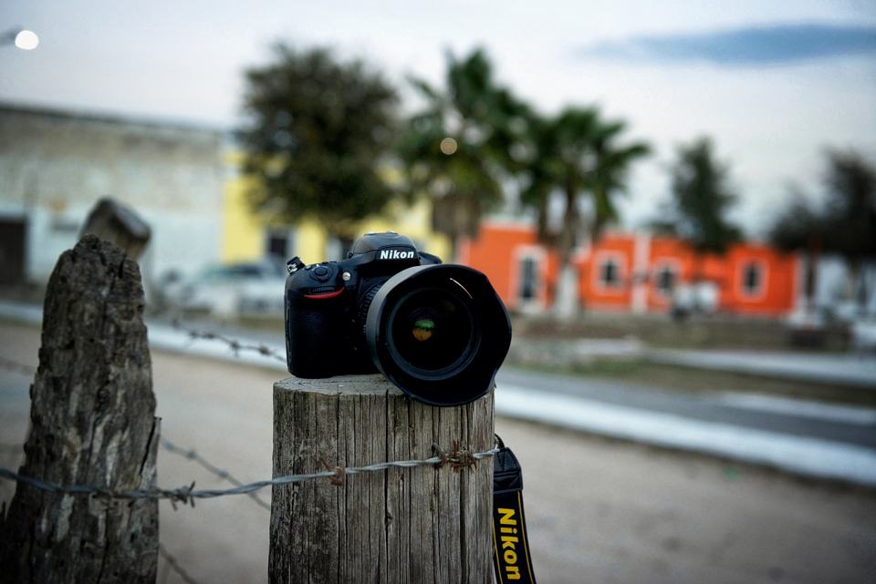 camera-on-wooden-pole-in-front-of-palm-trees-and-colorful-buildings-aruba