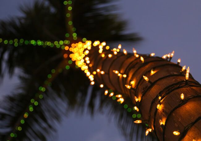 Discover the Holiday Magic in Aruba!