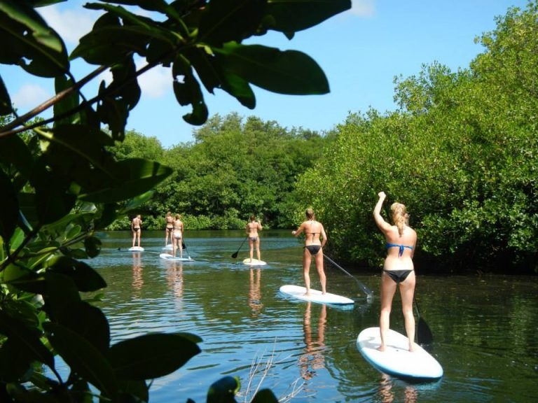 8 Nature Attractions to Visit in Aruba | Visit Aruba Blog