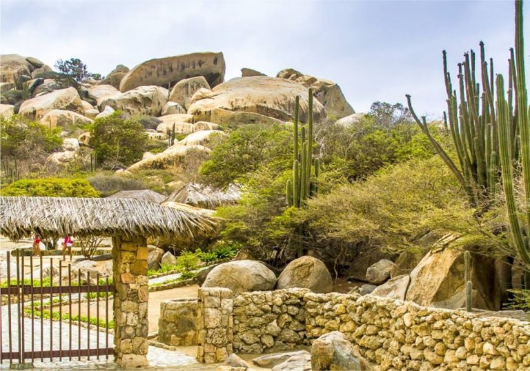 THINGS TO DO IN ARUBA BEACHES NATURE CULTURE visual data 4