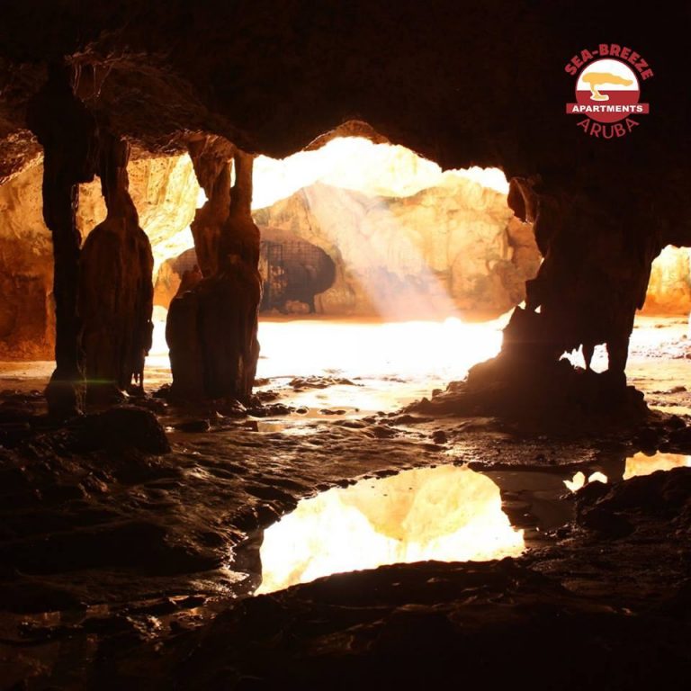 THINGS TO DO IN ARUBA BEACHES NATURE CULTURE visual data 6