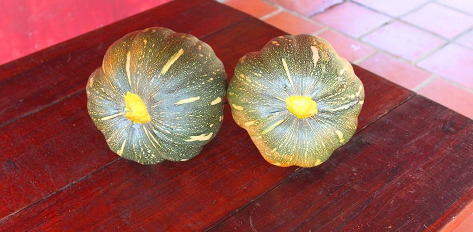 photo-by-Etnia-Nativa-local-pumpkins-aruba