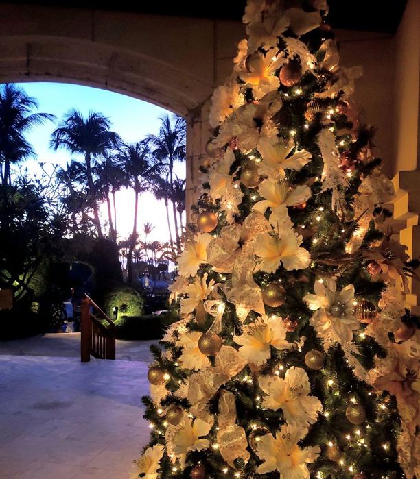 photo by Hyatt Regency Aruba Resort and Casino - Christmas Tree-kerstboom