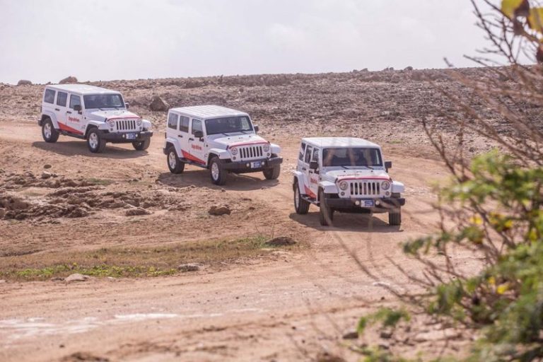 Aruba Car Rental Guide 2022 Visit Aruba Blog