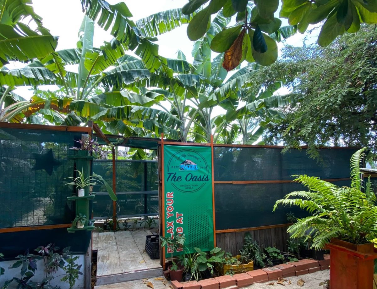 New Worthy Experiences to Try in Aruba Visit Aruba Blog