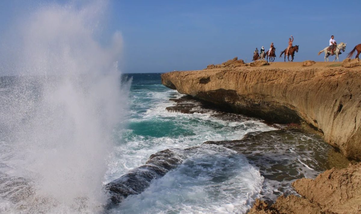 6 Unique Activities to Try in Aruba