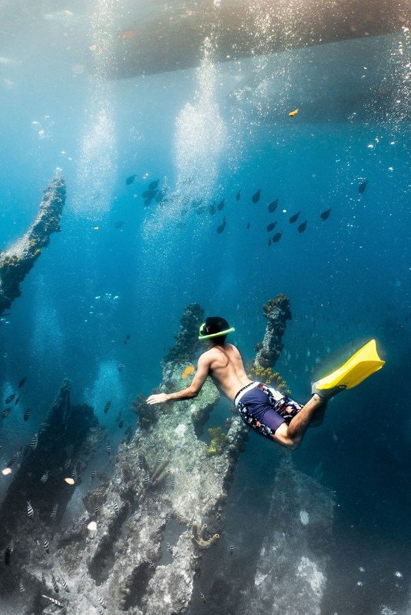Antilla Snorkel Sail Red Sail Aruba