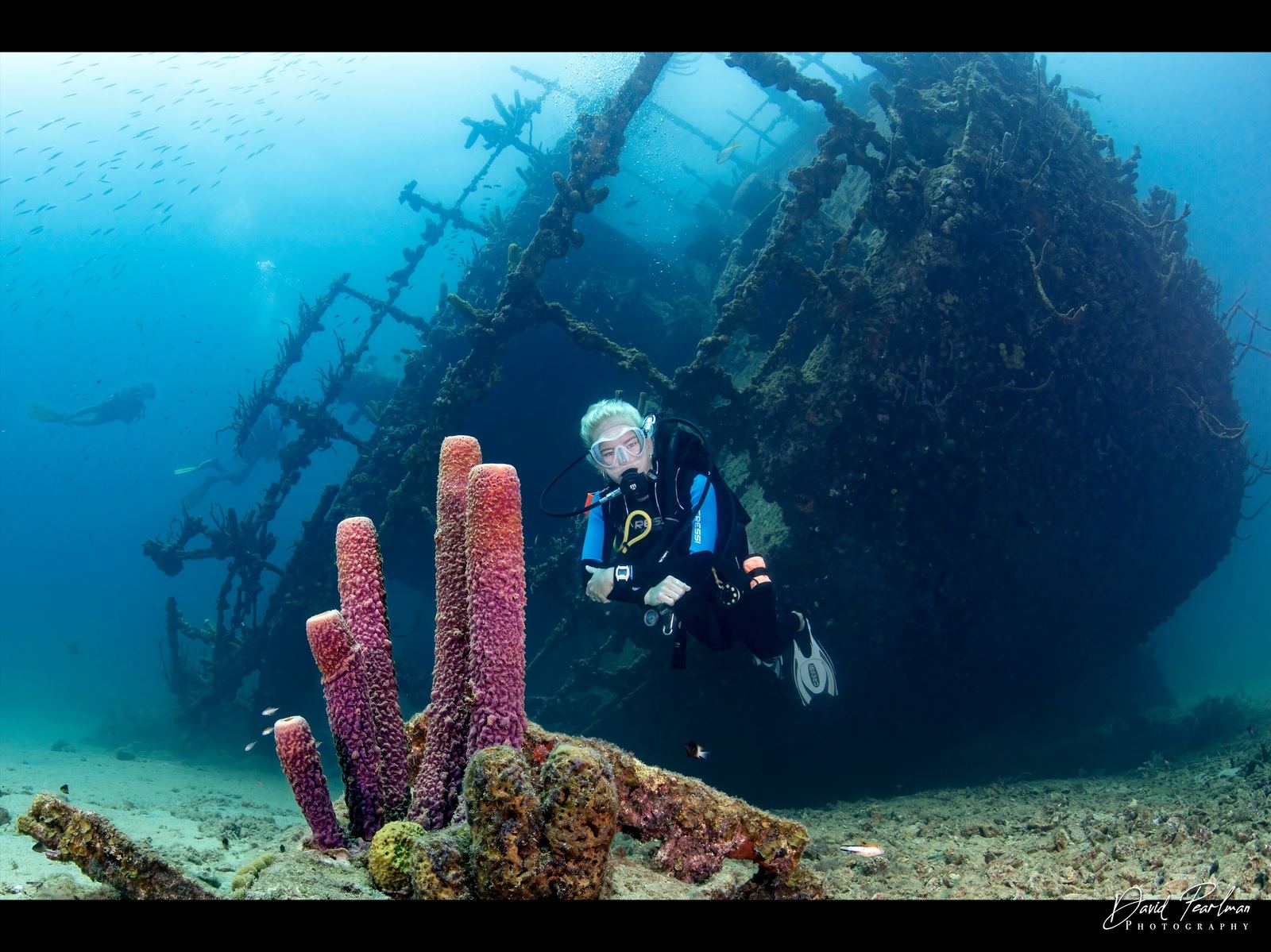 scuba diving tours aruba