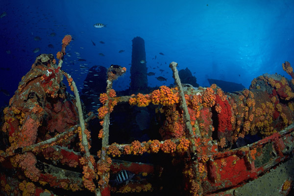 Jane C Wreck