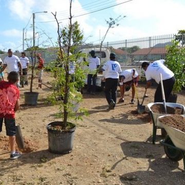 Placing new flower pots at Fatima College.JPG