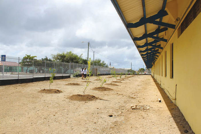 Santa Rosa to plant more than 10.000 trees across Aruba during 2014