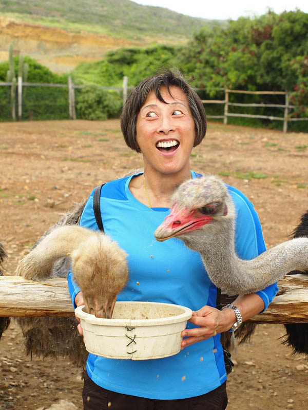 For family fun and entertainment, a tour of the Aruba Ostrich Farm is a must.