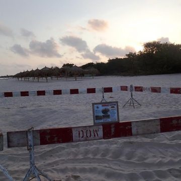 Conscientious campers accommodate large Leatherback Sea Turtle on Eagle Beach