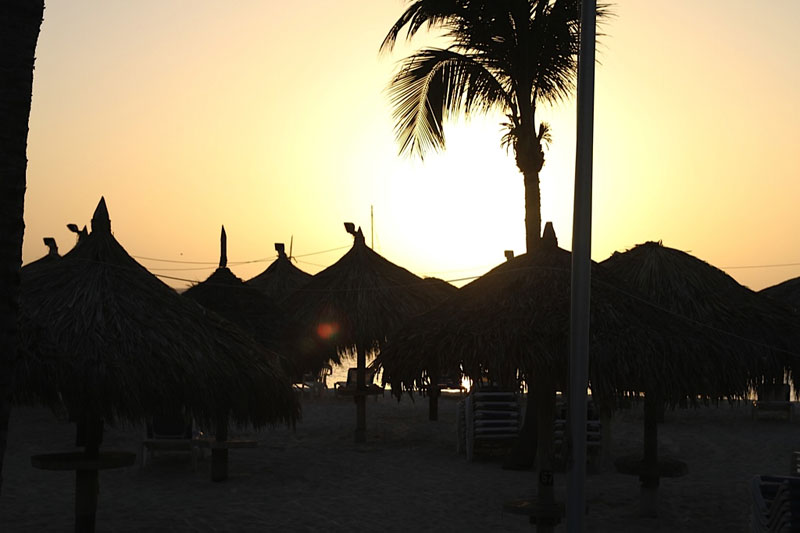 Aruba Radisson Resort launched Friday Fish Market at Gilligan?s Beach Bar & Grill