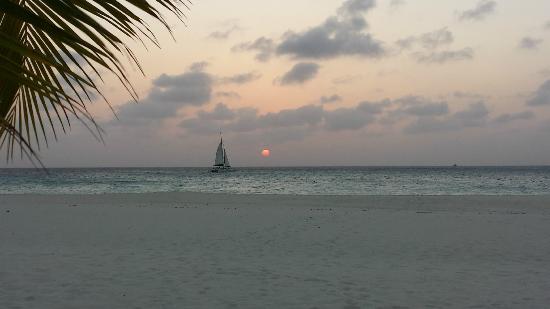 Double engagements while vacationing in Aruba