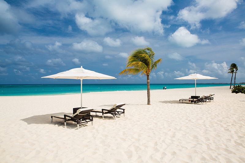 Bucuti and Tara Beach Resorts Aruba is the proud receiver of the Tripadvisor Excellence Hall of Fame Certificate