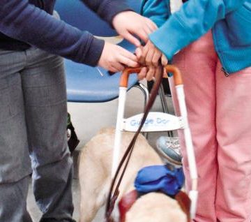 Essential Health Supplies Aruba provides information about travelling with your service animal