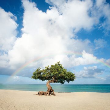 Aruba is Chosen as One of the Best Gambling Destinations in the World