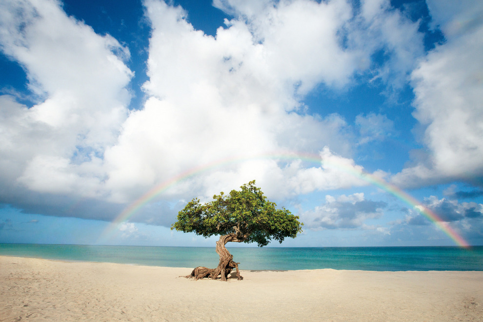 Aruba is Chosen as One of the Best Gambling Destinations in the World