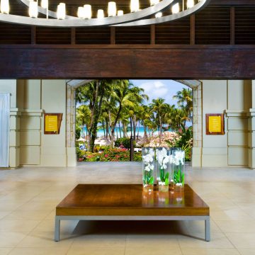 New Hyatt Aruba Online Check-In