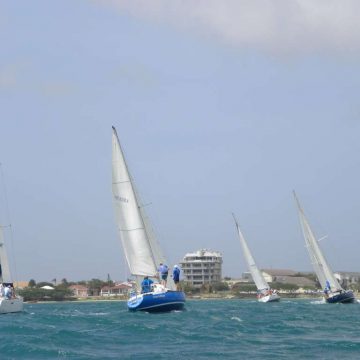 Regatta 1.jpg