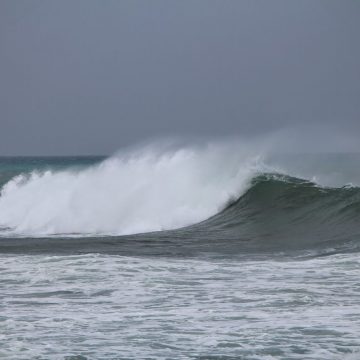 IMG_6220.JPG