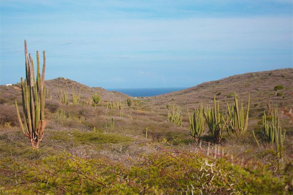 Aruba’s Arikok National Park Nominated for Best Caribbean Attraction