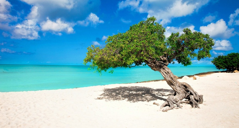 De mooiste stranden van Aruba