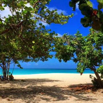 My Eagle Beach.jpg