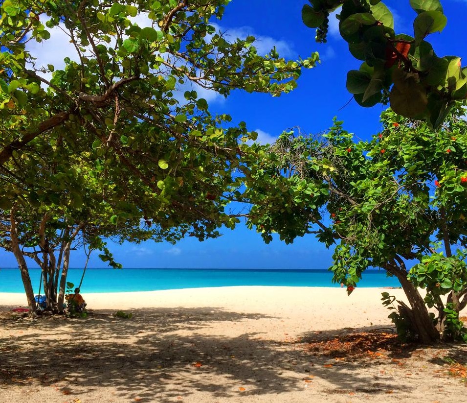 Aruba Partners With United Nations Sanctioned International Day of Happiness