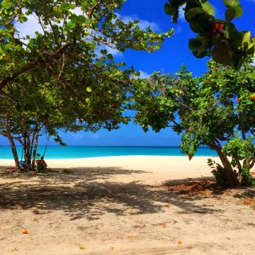 My Eagle Beach.jpg