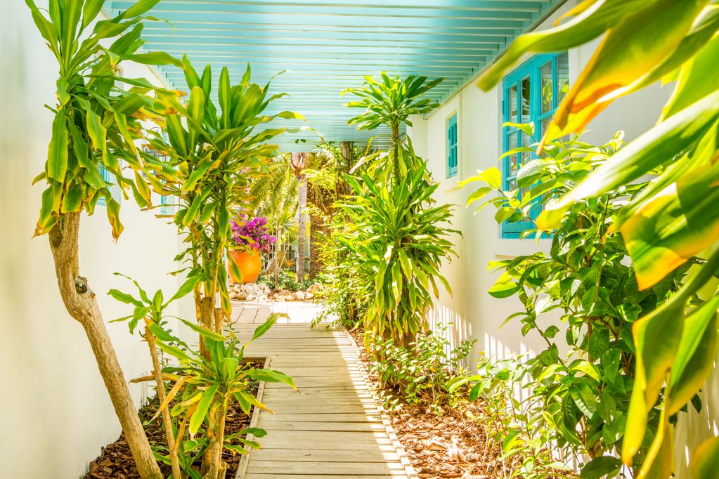 Boardwalk Hotel Aruba Wins 2017 Experts’ Choice Award