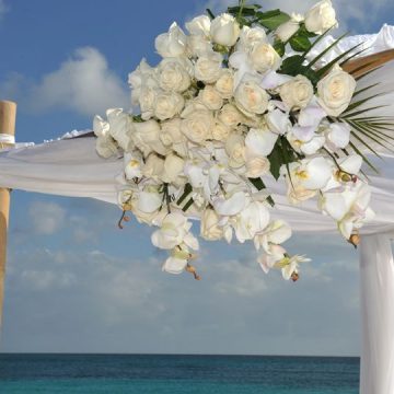 Celebrate New Beginnings with Divi & Tamarijn Aruba All Inclusives Wedding & Honeymoon Packages