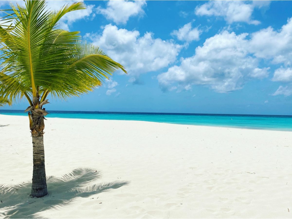 Aruba’s Eagle Beach Makes TripAdvisor’s World’s Best Beaches for 2021